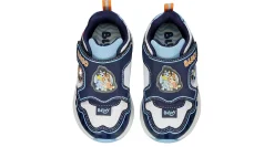 BLUEY BOYS TODDLER SNEAKER*Kids/BOY Sneakers|Character Shoes